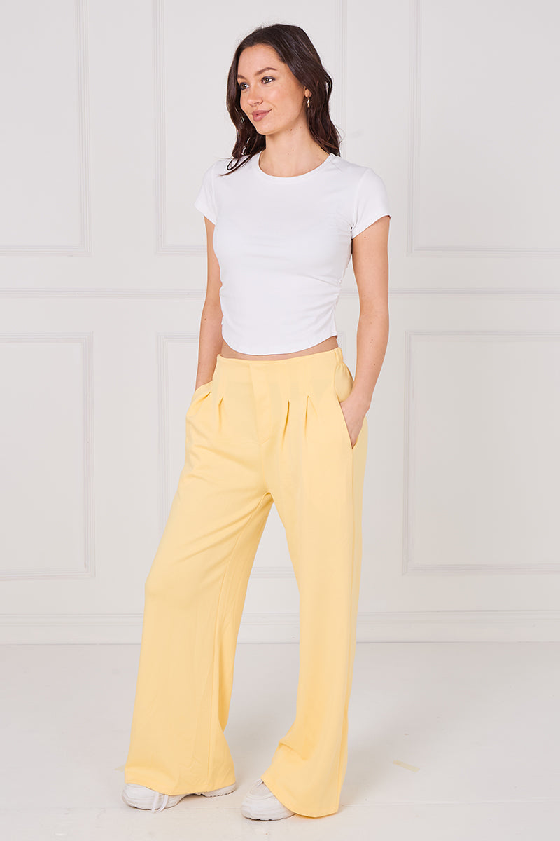Pleated Trousers